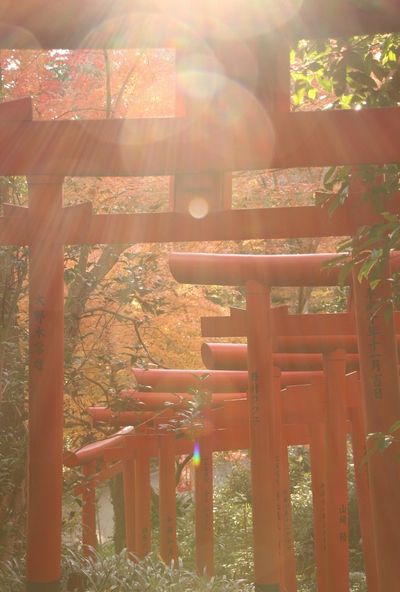 最終最後の。。