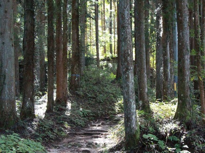 日本三大山城『岩村城跡』