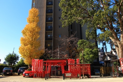 岡崎城周辺の紅葉