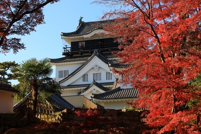 岡崎城周辺の紅葉