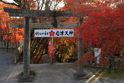 家康所縁の岩津天神
