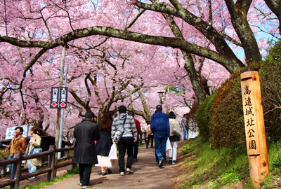 高遠城址公園入場2017