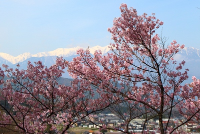 高遠城址公園入場2017
