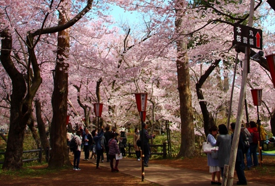 高遠城址公園入場2017