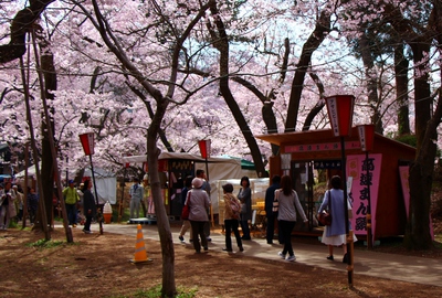 高遠城址公園入場2017