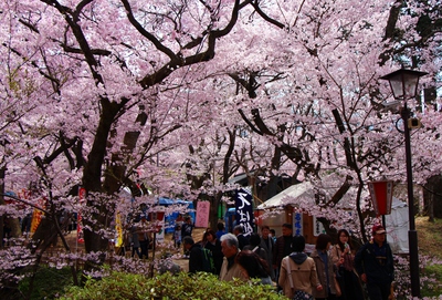 高遠城址公園入場2017