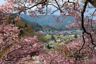 高遠城址公園入場2017