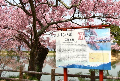六道の堤桜2017