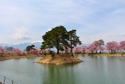 六道の堤桜2017