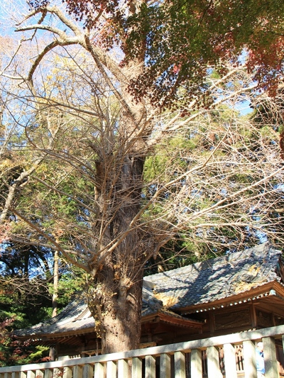 事任八幡宮
