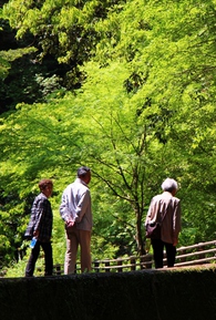 阿寺の七滝