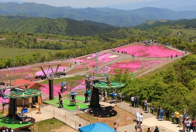 天空の芝桜