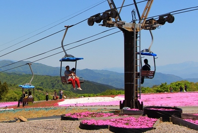 天空の芝桜