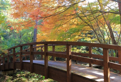 浜北森林公園