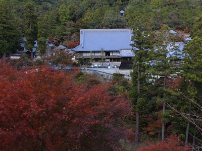 奥山方広寺２０２１紅葉