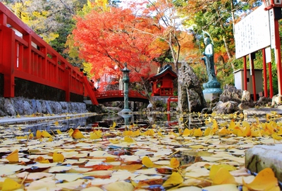 岩水寺薬師堂の紅葉