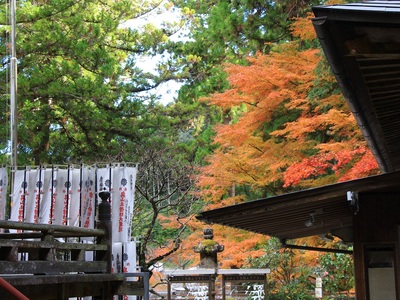 奥山方広寺２０２１紅葉