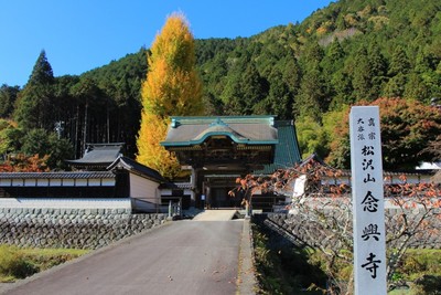 名もなき紅葉