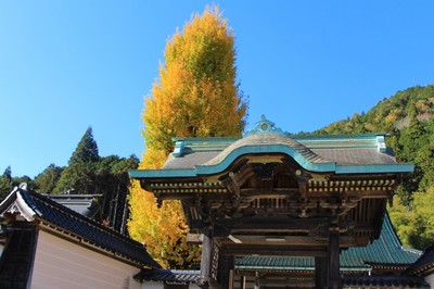 名もなき紅葉