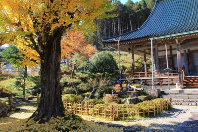 名もなき紅葉
