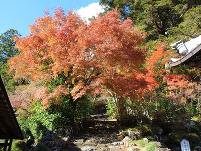 奥山方広寺２０２１紅葉