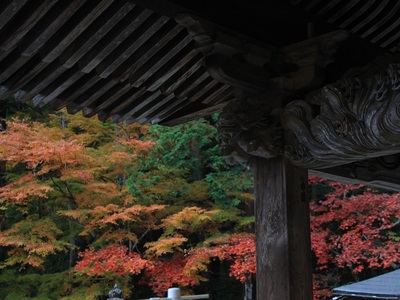 奥山方広寺２０２１紅葉