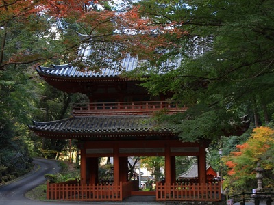 奥山方広寺２０２１紅葉