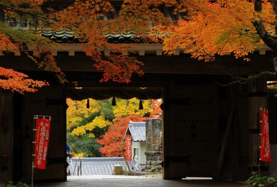 紅葉≪油山寺≫
