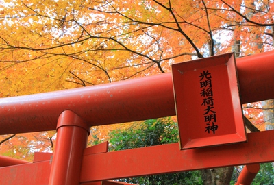 紅葉≪油山寺≫