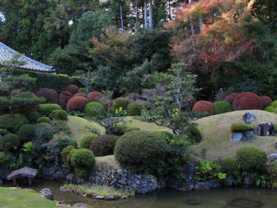 龍潭寺２０２１紅葉