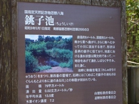 忍野八海の池