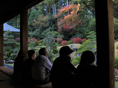 龍潭寺２０２１紅葉