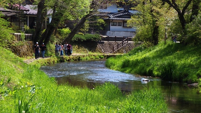 忍野八海の池