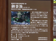 忍野八海の池