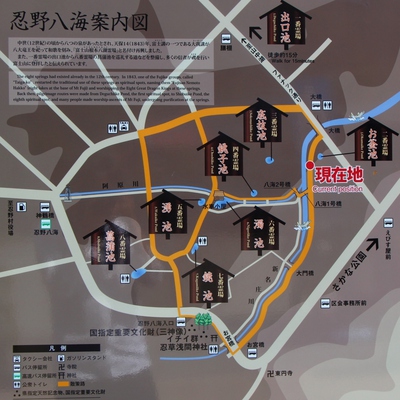 忍野八海の池