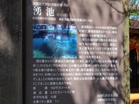 忍野八海の池