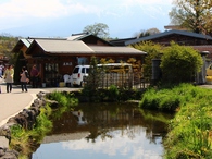 忍野八海の池