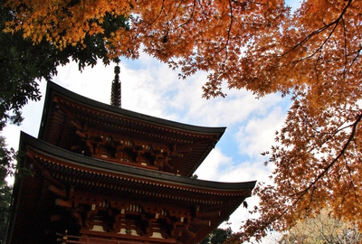 紅葉≪油山寺三重塔≫
