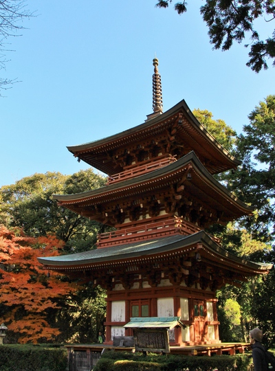 紅葉≪油山寺三重塔≫