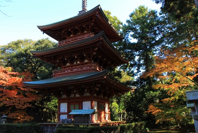紅葉≪油山寺三重塔≫