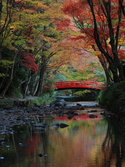 小國神社２０２１紅葉