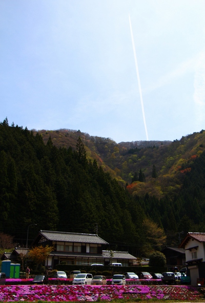 國田家の芝桜