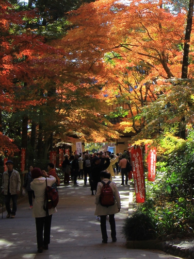 紅葉≪油山寺≫
