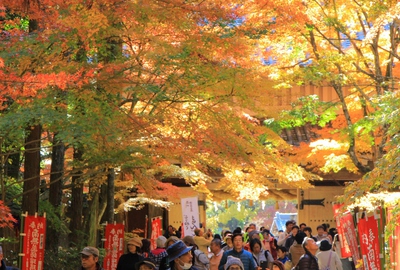 紅葉≪油山寺≫