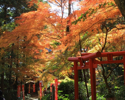 紅葉≪油山寺≫