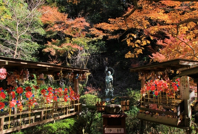紅葉≪油山寺≫