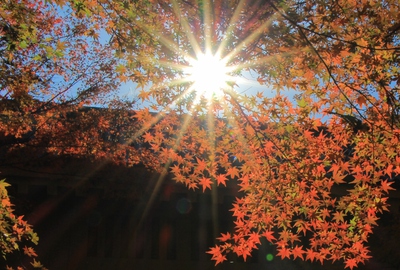 紅葉≪油山寺≫