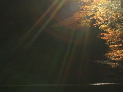 小國神社２０２１紅葉