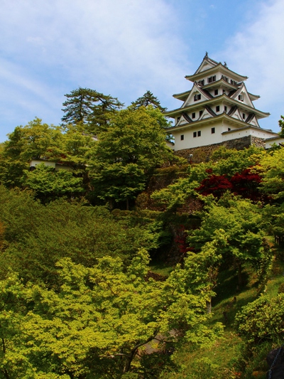 美しき郡上八幡城