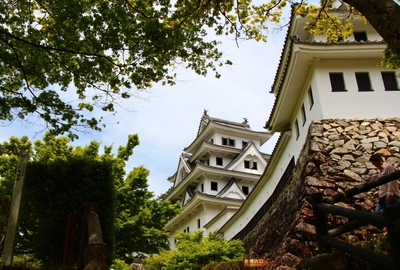 美しき郡上八幡城